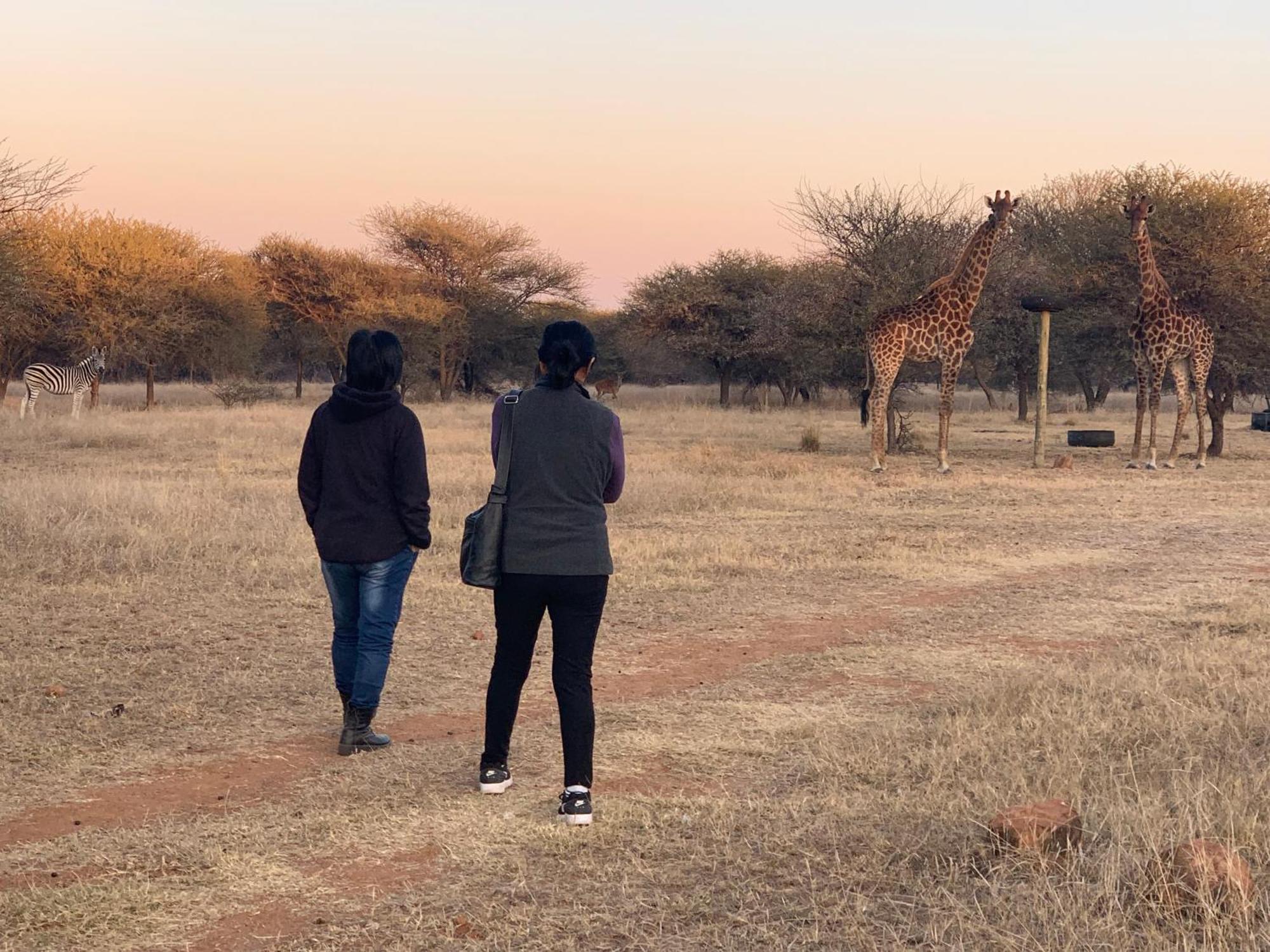 Tula Baba Game Lodge Brits Eksteriør bilde