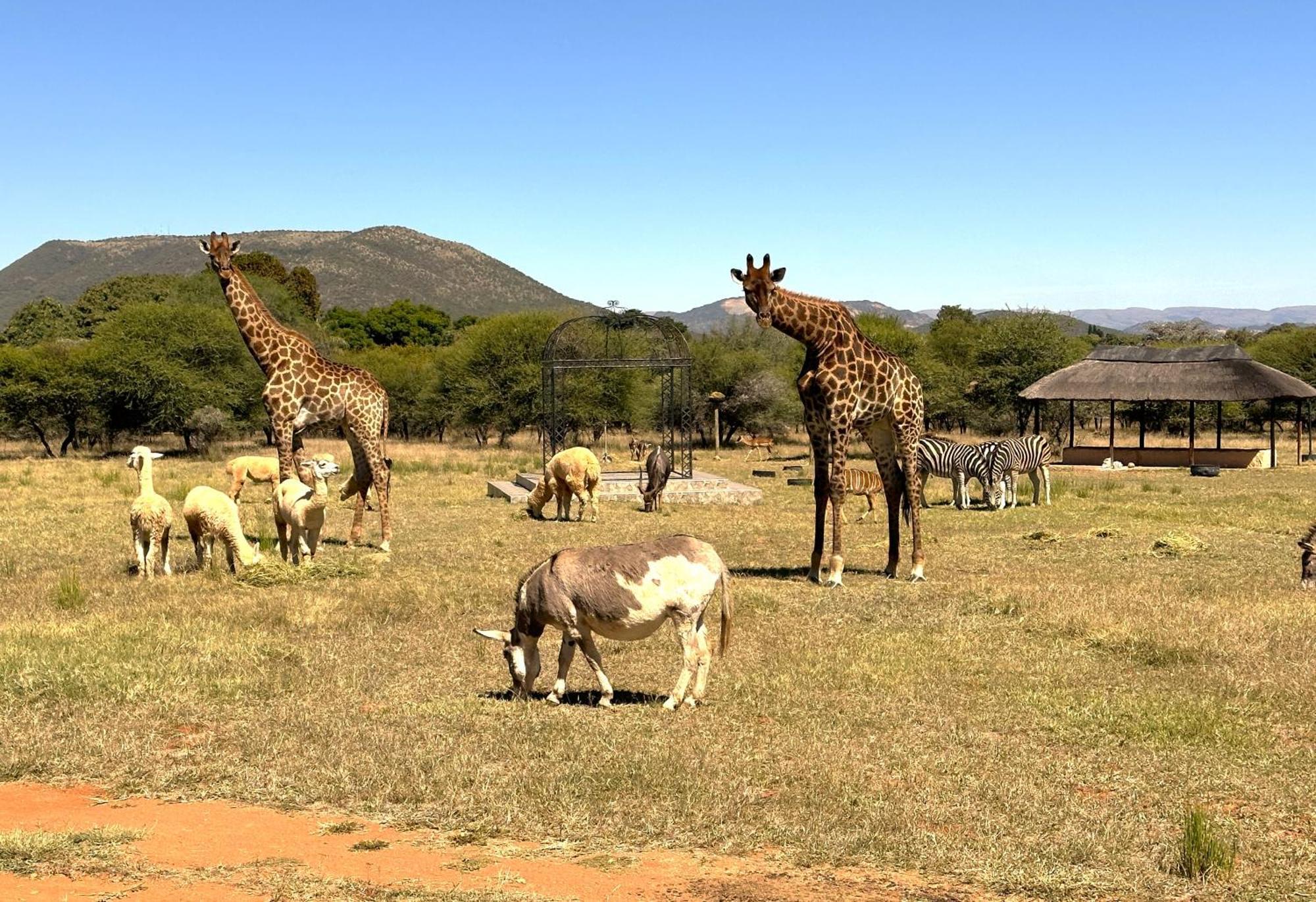 Tula Baba Game Lodge Brits Eksteriør bilde