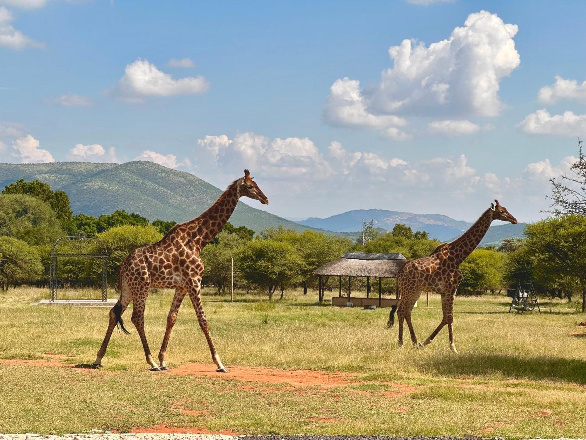 Tula Baba Game Lodge Brits Eksteriør bilde