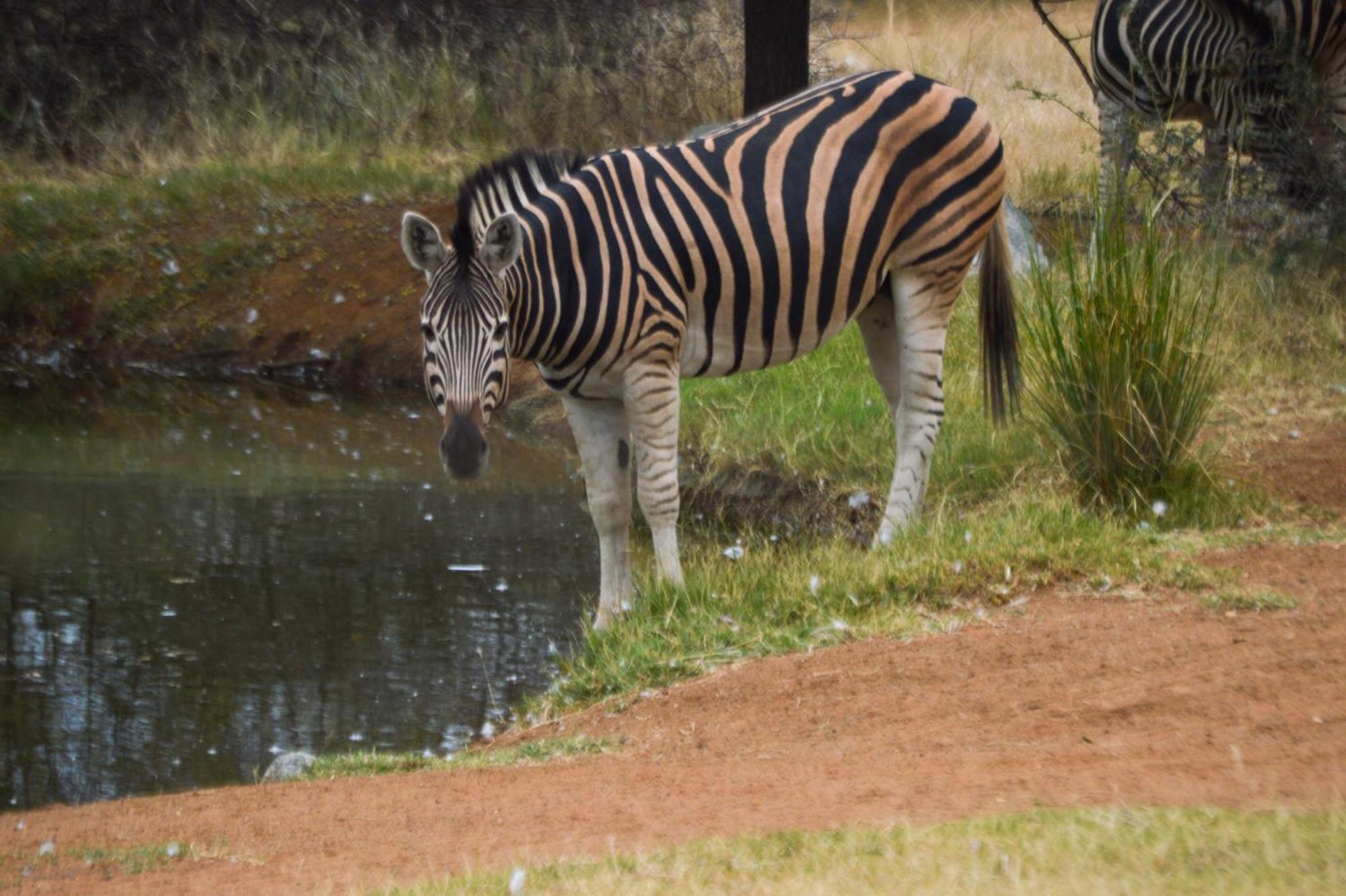 Tula Baba Game Lodge Brits Eksteriør bilde